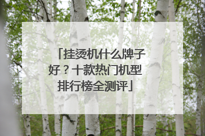 挂烫机什么牌子好？十款热门机型排行榜全测评