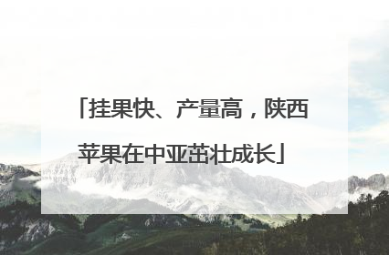 挂果快、产量高，陕西苹果在中亚茁壮成长