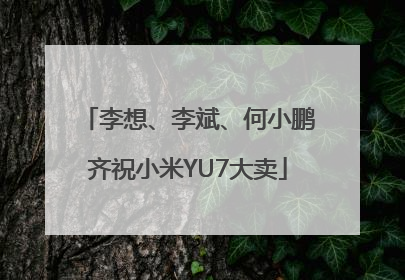 李想、李斌、何小鹏齐祝小米YU7大卖