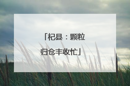 杞县：颗粒归仓丰收忙