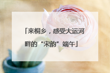 来桐乡，感受大运河畔的“宋韵”端午
