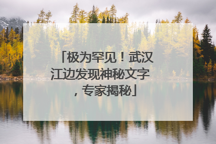 极为罕见！武汉江边发现神秘文字，专家揭秘