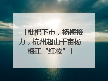 枇杷下市，杨梅接力，杭州超山千亩杨梅正“红妆”