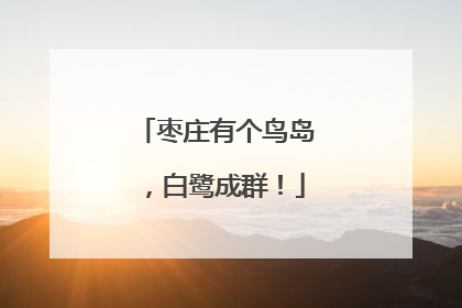 枣庄有个鸟岛，白鹭成群！