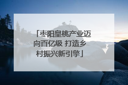 枣阳皇桃产业迈向百亿级 打造乡村振兴新引擎