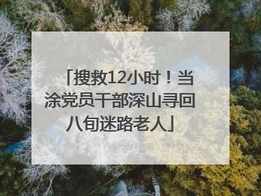 搜救12小时！当涂党员干部深山寻回八旬迷路老人