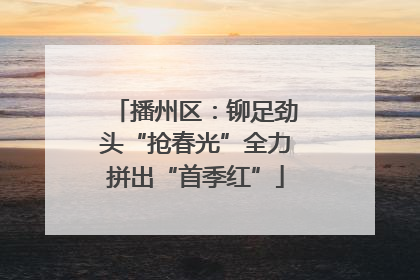 播州区：铆足劲头“抢春光”全力拼出“首季红”