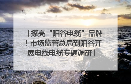 擦亮“阳谷电缆”品牌！市场监管总局到阳谷开展电线电缆专题调研