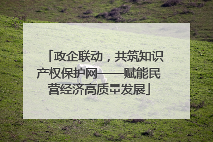 政企联动，共筑知识产权保护网——赋能民营经济高质量发展