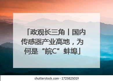 政观长三角丨国内传感器产业高地，为何是“皖C”蚌埠