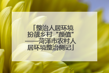 整治人居环境 扮靓乡村“颜值”——菏泽市农村人居环境整治侧记