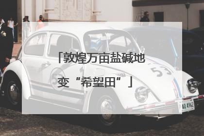 敦煌万亩盐碱地变“希望田”