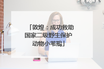 敦煌：成功救助国家二级野生保护动物小苇鳽