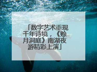 数字艺术重现千年诗境，《赊月洞庭》南湖夜游精彩上演