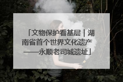 文物保护看基层｜湖南省首个世界文化遗产——永顺老司城遗址