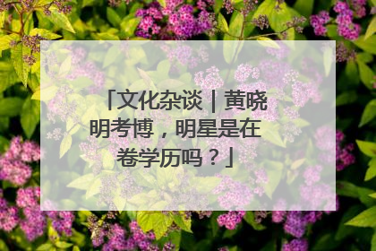 文化杂谈｜黄晓明考博，明星是在卷学历吗？