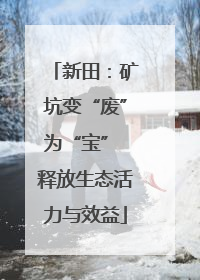 新田：矿坑变“废”为“宝” 释放生态活力与效益