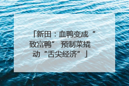 新田：血鸭变成“致富鸭” 预制菜撬动“舌尖经济”