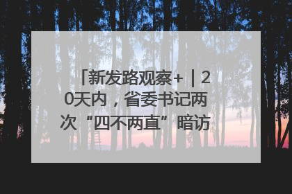 新发路观察+｜20天内，省委书记两次“四不两直”暗访，有何深意？