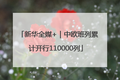 新华全媒+｜中欧班列累计开行110000列