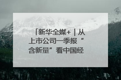 新华全媒+｜从上市公司一季报“含新量”看中国经济发展向“新”