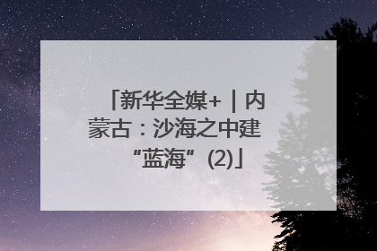 新华全媒+｜内蒙古：沙海之中建“蓝海”(2)
