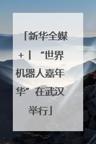 新华全媒+丨“世界机器人嘉年华”在武汉举行