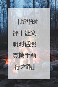 新华时评丨让文明对话照亮携手前行之路
