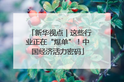 新华视点｜这些行业正在“爆单”！中国经济活力密码
