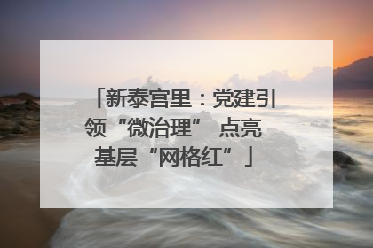 新泰宫里：党建引领“微治理” 点亮基层“网格红”