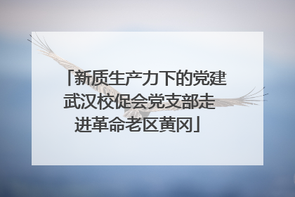 新质生产力下的党建 武汉校促会党支部走进革命老区黄冈