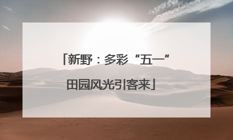 新野：多彩“五一” 田园风光引客来