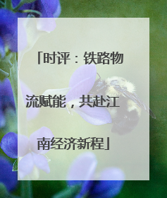 时评：铁路物流赋能，共赴江南经济新程