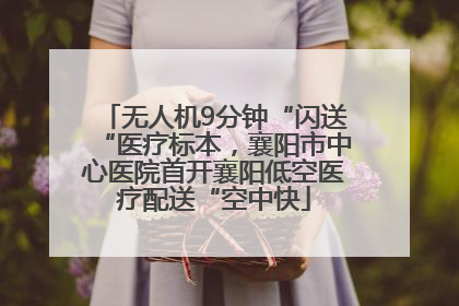 无人机9分钟“闪送“医疗标本，襄阳市中心医院首开襄阳低空医疗配送“空中快