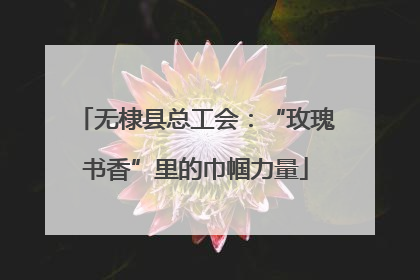 无棣县总工会：“玫瑰书香”里的巾帼力量