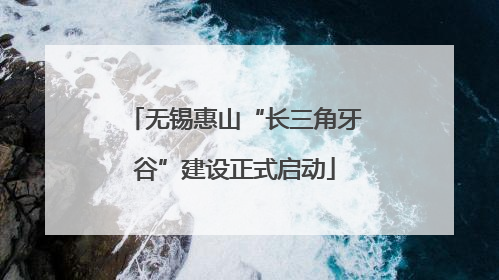 无锡惠山“长三角牙谷”建设正式启动