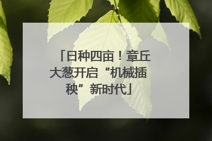 日种四亩！章丘大葱开启“机械插秧”新时代