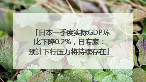 日本一季度实际GDP环比下降0.2%，日专家：预计下行压力将持续存在