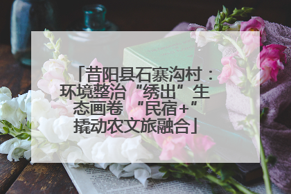 昔阳县石寨沟村：环境整治“绣出”生态画卷 “民宿+”撬动农文旅融合