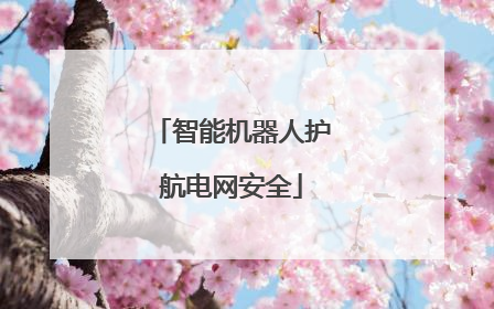 智能机器人护航电网安全