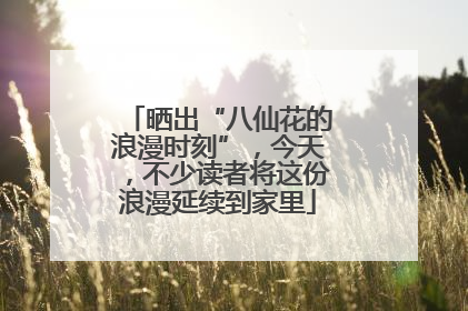 晒出“八仙花的浪漫时刻”，今天，不少读者将这份浪漫延续到家里