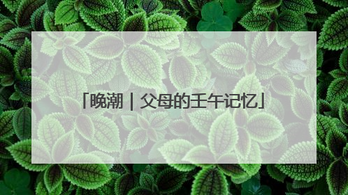 晚潮｜父母的壬午记忆