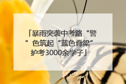 暴雨突袭中考路“警”色筑起“蓝色脊梁”护考3000余学子