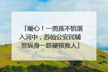 暖心！一男孩不慎落入河中，苏仙公安民辅警纵身一跃硬核救人