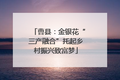 曹县：金银花“三产融合”托起乡村振兴致富梦