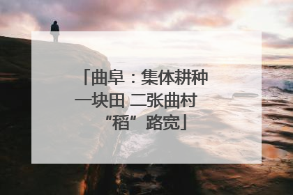 曲阜：集体耕种一块田 二张曲村“稻”路宽