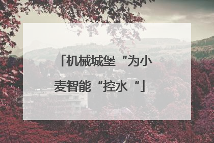 机械城堡“为小麦智能“控水“