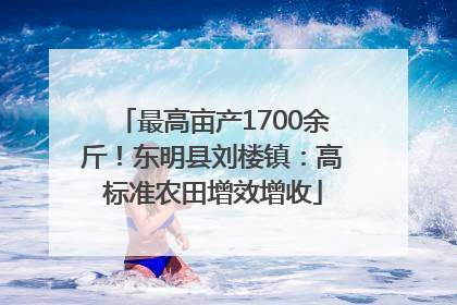 最高亩产1700余斤！东明县刘楼镇：高标准农田增效增收
