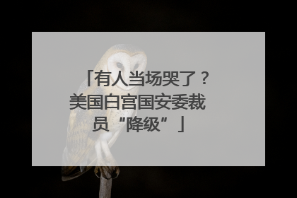 有人当场哭了？美国白宫国安委裁员“降级”