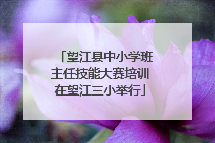 望江县中小学班主任技能大赛培训在望江三小举行
